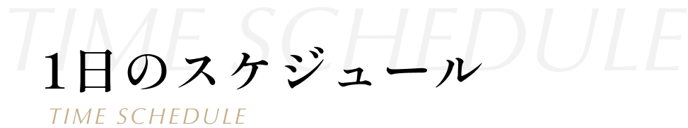 スケジュール